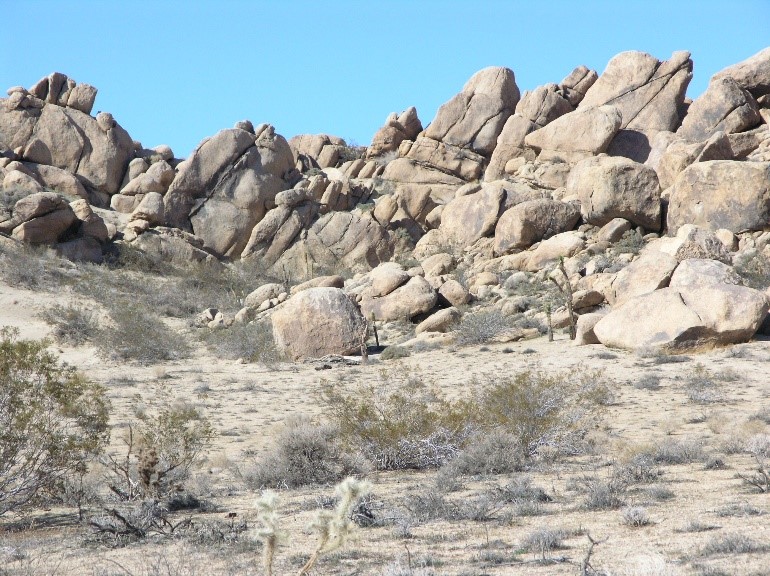 (c) California State Parks